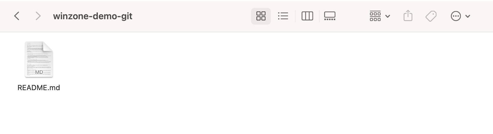 Winzone.vn Clone project from GitLab success