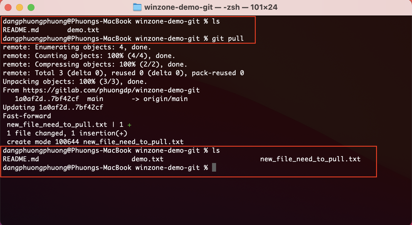 Winzone.vn git pull success from git lab